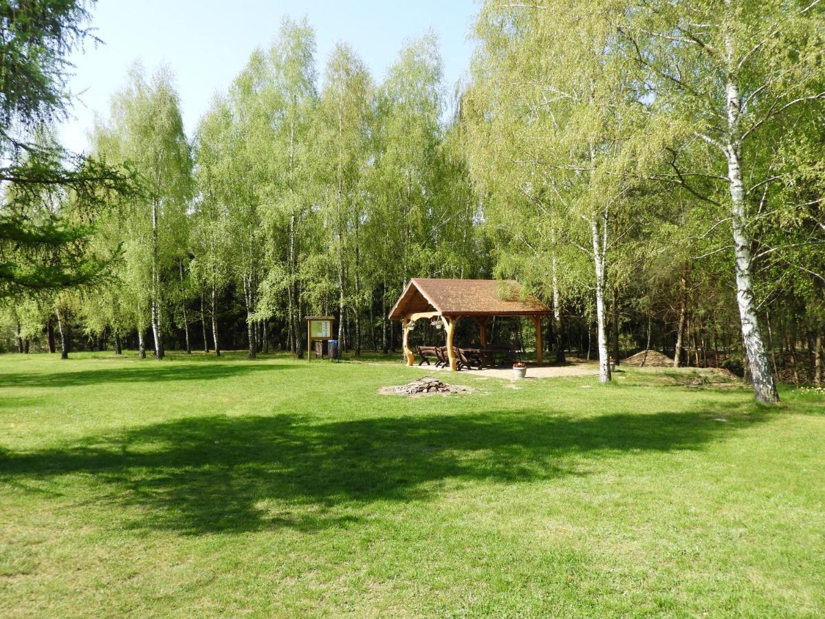 Dom Nasutow Villa Niemce Exterior foto